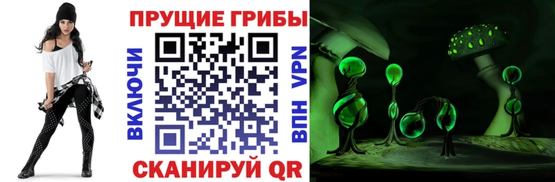 MEGA ONION  Белгород  Псилоцибиновые грибы прущие грибы  магазин продажи  