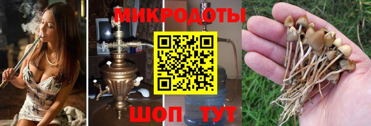Белгород  Псилоцибиновые грибы Cubensis  где купить   Вход с VPN 